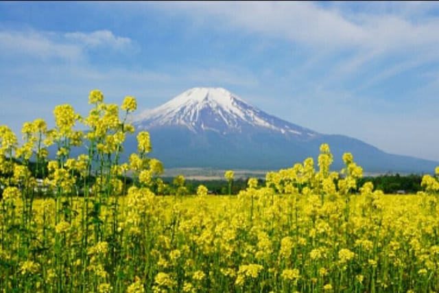 Jeju East Island Bus (or Taxi )Tour included Lunch & Entrance fee - Photo 1 of 9